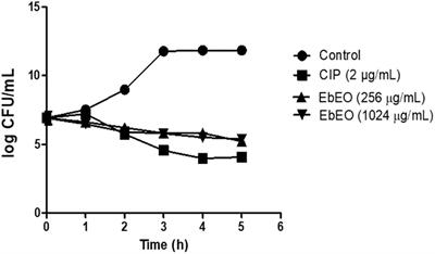 Antimicrobial and Antivirulence Action of Eugenia brejoensis Essential Oil in vitro and in vivo Invertebrate Models